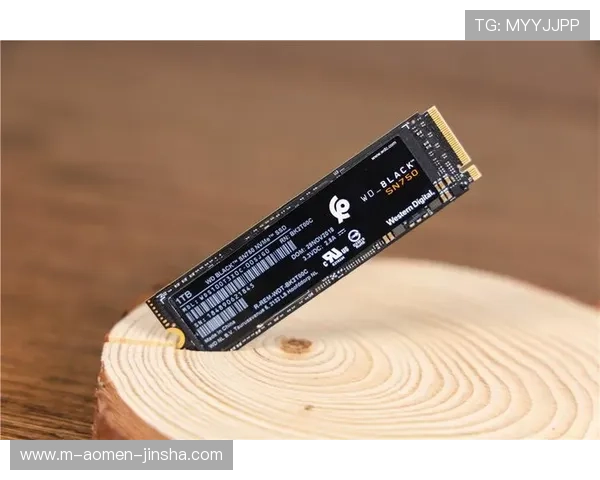 9170金沙官网登录网址推荐，确保账号安全与游戏数据完整保障