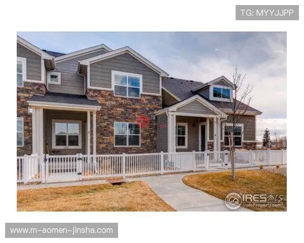 温莎国际在国际房地产行业中的发展历程与未来战略布局