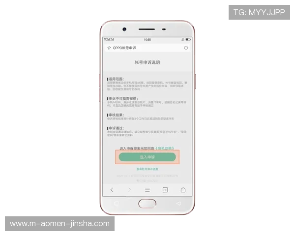 金沙国际登录入口安全登录指南,保护玩家个人信息和账户安全的实用技巧 金沙国际登录入口安全登录指南,保护玩家个人信息和账户安全的实用技巧