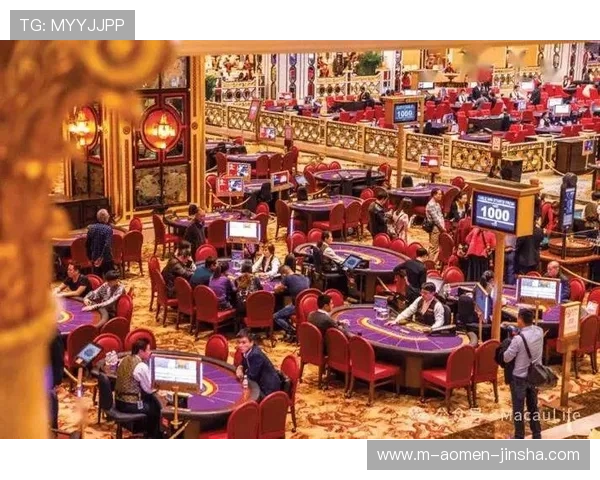 澳门十大娱乐场所法人代表名单及其在行业中的核心作用解析