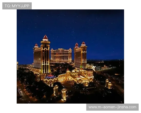 澳门金沙娱乐手机版最新版本下载指南及升级技巧全攻略